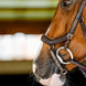 Horseware Rambo Competition Hoofdstel Trenshoofdstellen - Maddelin Equestrian HorseWare