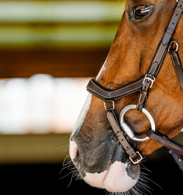 Horseware Rambo Competition Hoofdstel Trenshoofdstellen - Maddelin Equestrian HorseWare