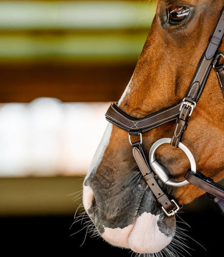 Horseware Rambo Competition Hoofdstel Trenshoofdstellen - Maddelin Equestrian HorseWare