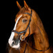 Horseware Rambo Competition Hoofdstel Trenshoofdstellen - Maddelin Equestrian HorseWare