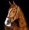 Horseware Rambo Competition Hoofdstel Trenshoofdstellen - Maddelin Equestrian HorseWare