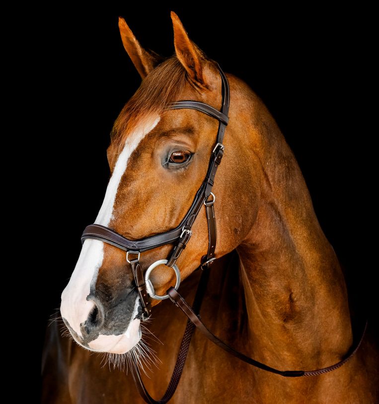 Horseware Rambo Competition Hoofdstel Trenshoofdstellen - Maddelin Equestrian HorseWare