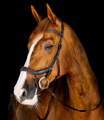 Horseware Rambo Competition Hoofdstel Trenshoofdstellen - Maddelin Equestrian HorseWare