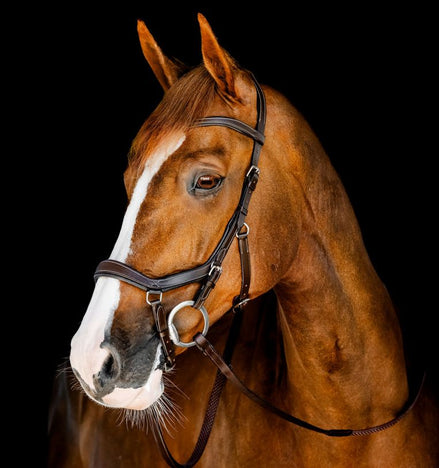 Horseware Rambo Competition Hoofdstel Trenshoofdstellen - Maddelin Equestrian HorseWare