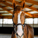 Horseware Rambo Competition Hoofdstel Trenshoofdstellen - Maddelin Equestrian HorseWare