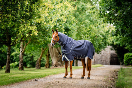 Horseware Rambo Duo Ripstop Plus Turnout bundel in Navy, zijaanzicht op het paard