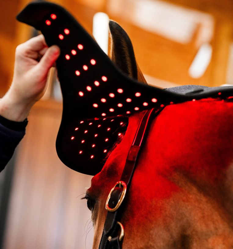 Horseware Rambo LED Red Light Therapy Cap Therapeutisch - Maddelin Equestrian HorseWare