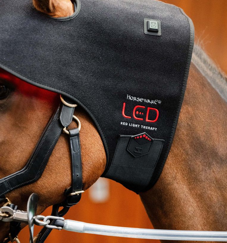 Horseware Rambo LED Red Light Therapy Cap Therapeutisch - Maddelin Equestrian HorseWare