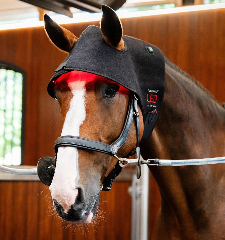 Horseware Rambo LED Red Light Therapy Cap Therapeutisch - Maddelin Equestrian HorseWare