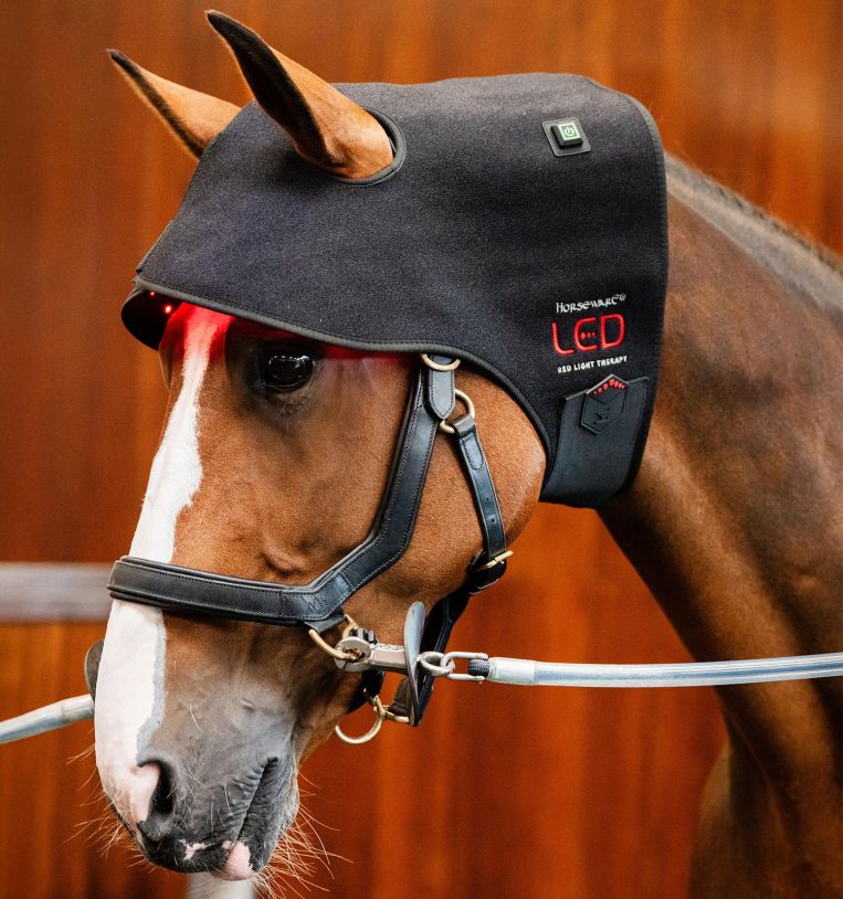 Horseware Rambo LED Red Light Therapy Cap Therapeutisch - Maddelin Equestrian HorseWare