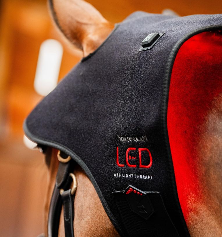 Horseware Rambo LED Red Light Therapy Cap Therapeutisch - Maddelin Equestrian HorseWare