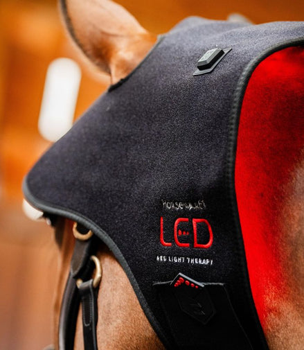 Horseware Rambo LED Red Light Therapy Cap Therapeutisch - Maddelin Equestrian HorseWare