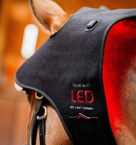 Horseware Rambo LED Red Light Therapy Cap Therapeutisch - Maddelin Equestrian HorseWare