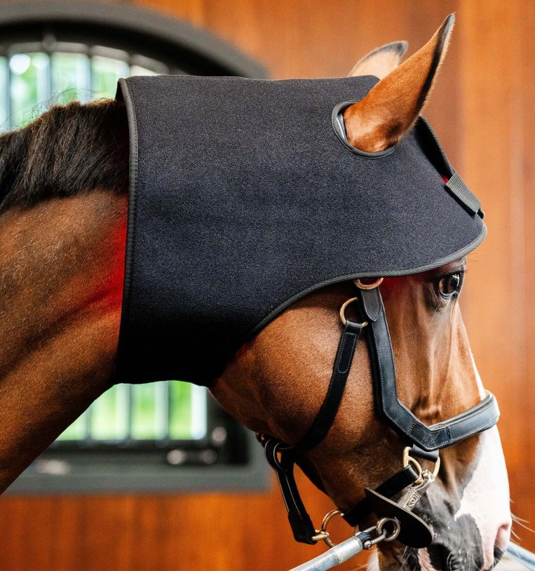 Horseware Rambo LED Red Light Therapy Cap Therapeutisch - Maddelin Equestrian HorseWare