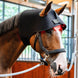 Horseware Rambo LED Red Light Therapy Cap Therapeutisch - Maddelin Equestrian HorseWare