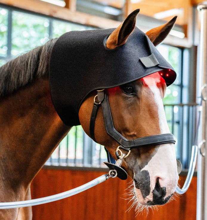 Horseware Rambo LED Red Light Therapy Cap Therapeutisch - Maddelin Equestrian HorseWare