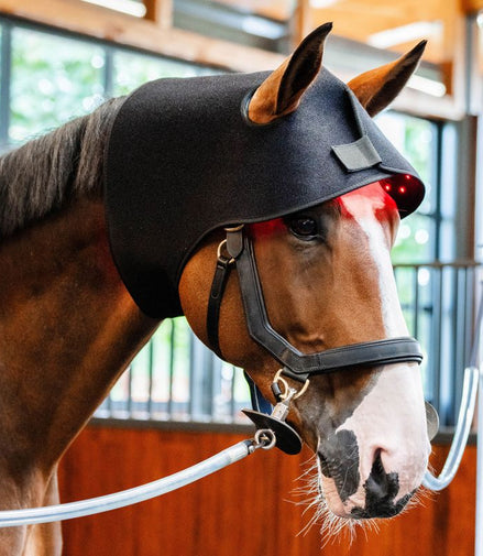 Horseware Rambo LED Red Light Therapy Cap Therapeutisch - Maddelin Equestrian HorseWare