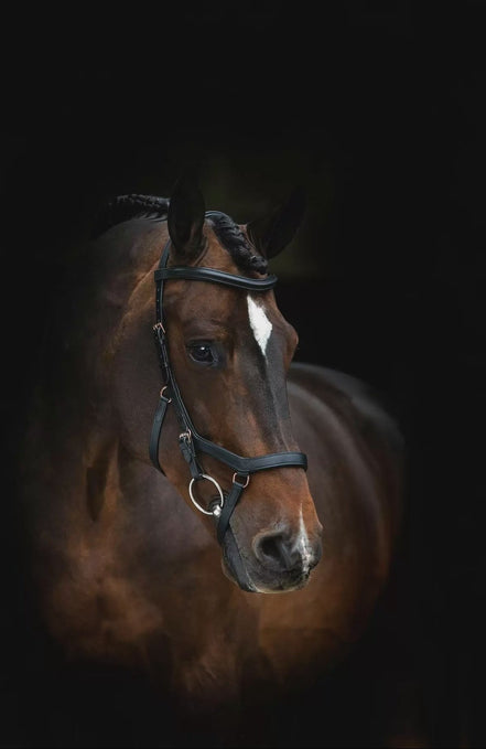 Horseware Rambo Micklem Wedstrijd Hoofdstel Trenshoofdstellen - Maddelin Equestrian HorseWare