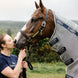 Horseware Rambo Protector Vliegendeken Vliegendekens - Maddelin Equestrian HorseWare