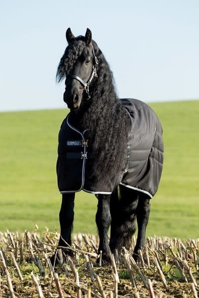 Horseware Rambo Stable Paardendeken 200g Staldeken - Maddelin Equestrian HorseWare