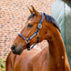 Horseware Signature Competition Halster Nylon halsters - Maddelin Equestrian HorseWare