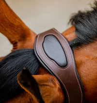 Horseware Signature Competition Halster Nylon halsters - Maddelin Equestrian HorseWare