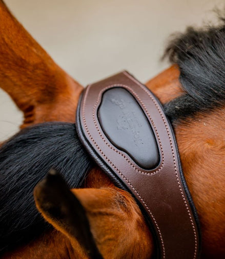 Horseware Signature Competition Halster Nylon halsters - Maddelin Equestrian HorseWare