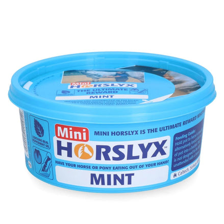 Horslyx Mini Likstenen - Maddelin Equestrian Horslyx
