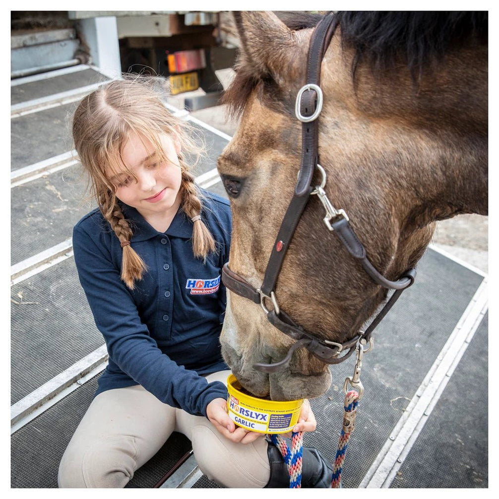 Horslyx Mini Likstenen - Maddelin Equestrian Horslyx