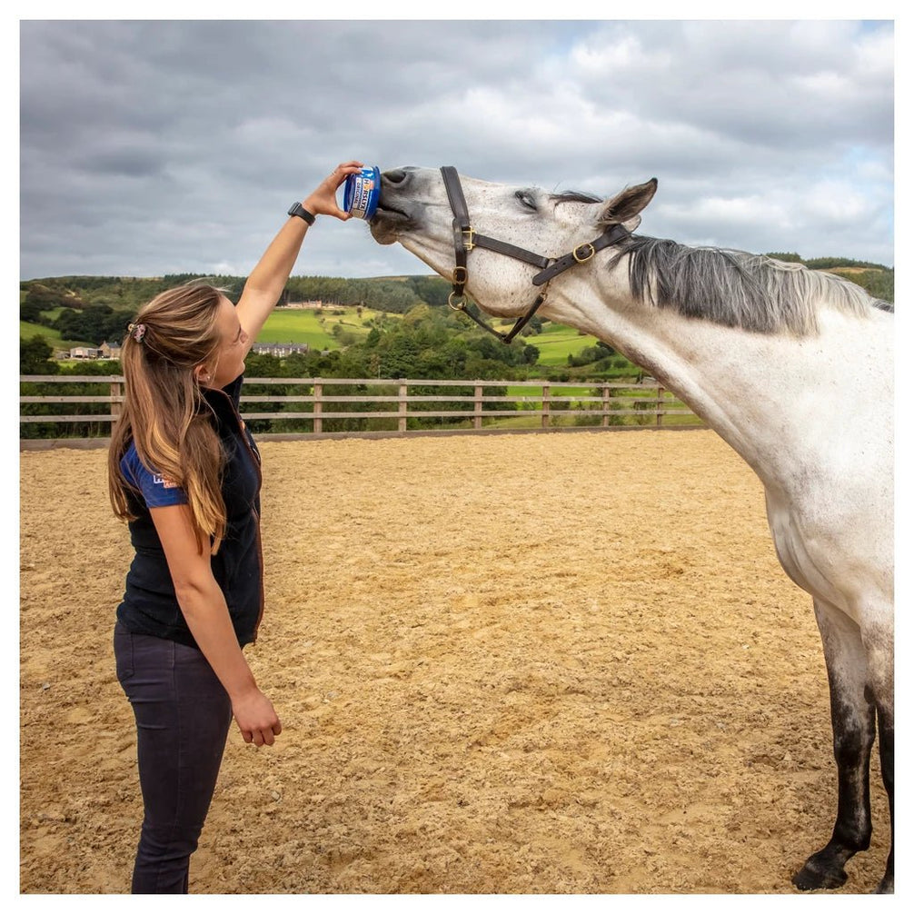 Horslyx Mini Likstenen - Maddelin Equestrian Horslyx