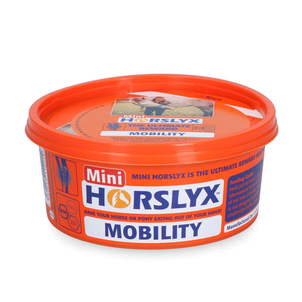 Horslyx Mini Likstenen - Maddelin Equestrian Horslyx