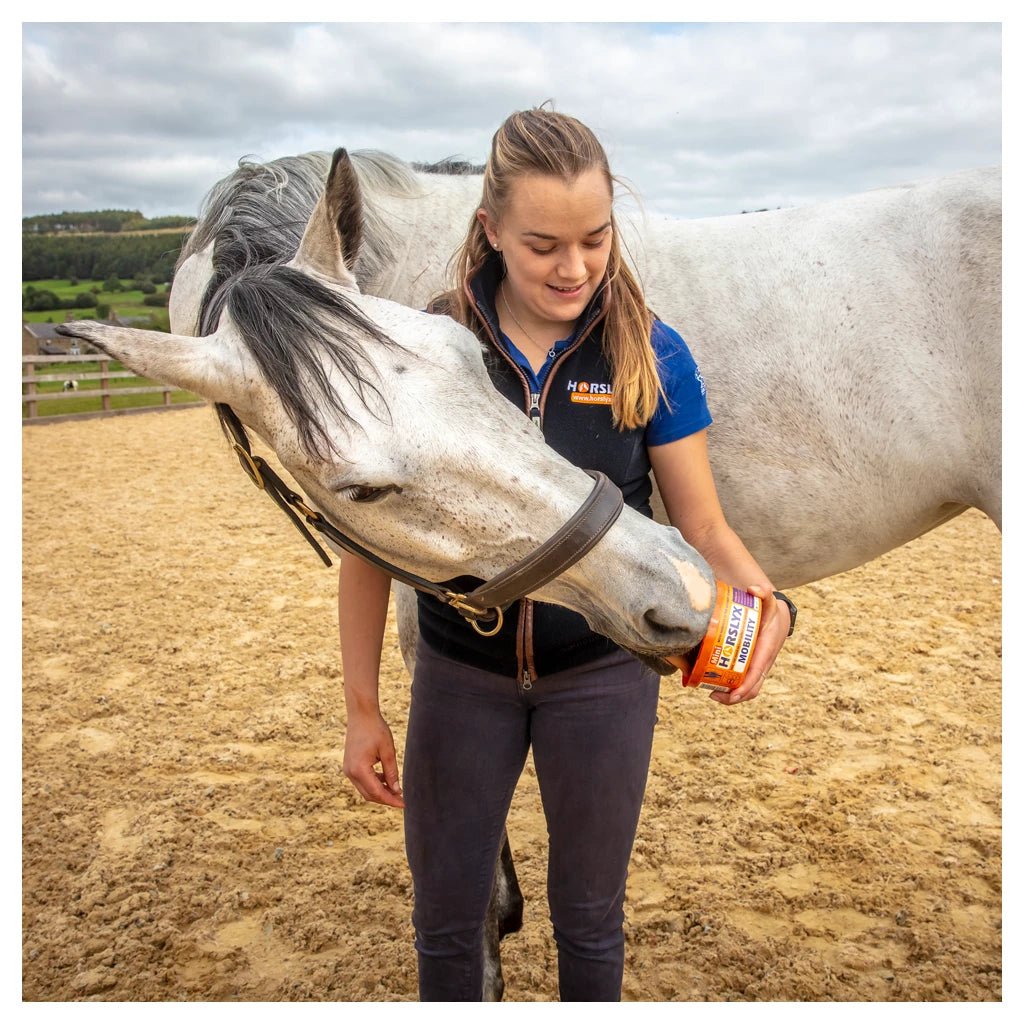 Horslyx Mini Likstenen - Maddelin Equestrian Horslyx