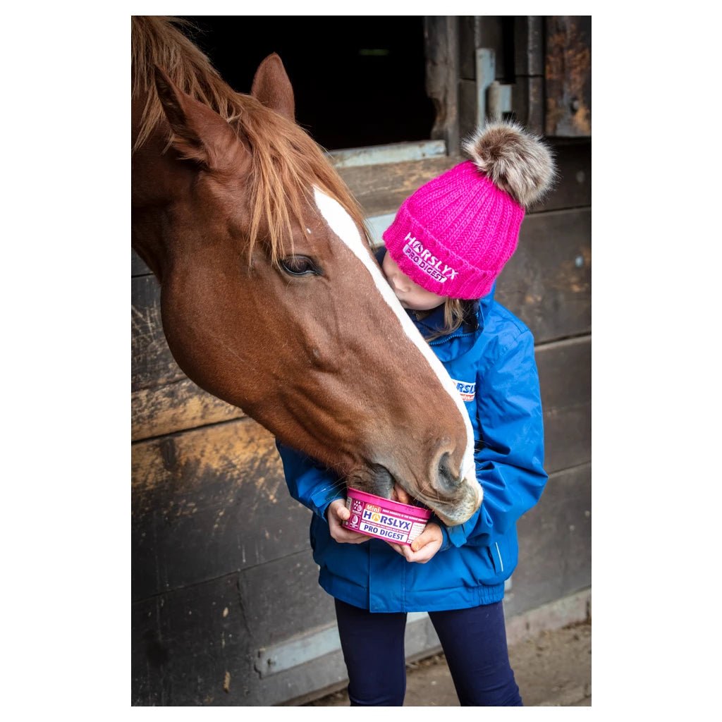 Horslyx Mini Likstenen - Maddelin Equestrian Horslyx