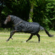 Bucas Irish Turnout 50 + Neck Black/Gold in galop
