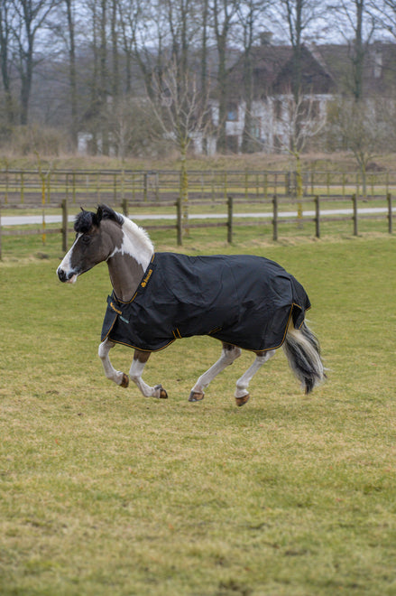 Bucas Irish Turnout 100 Black/Gold op een paard in de sneeuw
