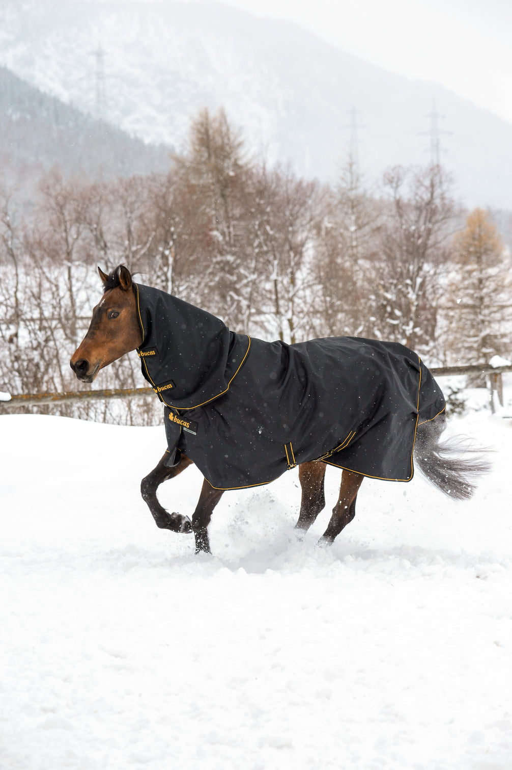 Bucas Irish Turnout 50 + Neck Black/Gold met halsstuk