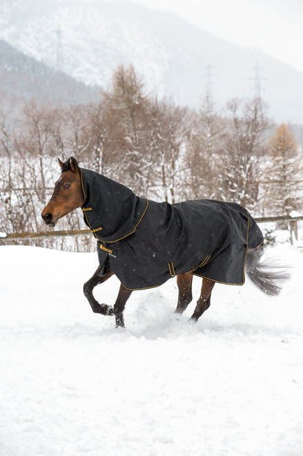 Bucas Irish Turnout 50 + Neck Black/Gold met halsstuk