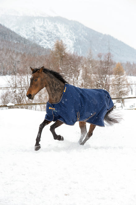 Bucas Irish Turnout 50 Navy/Gold op een paard in de sneeuw