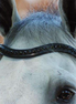 Dy'on Black Swarovski V-Shaped Browband - New English Full