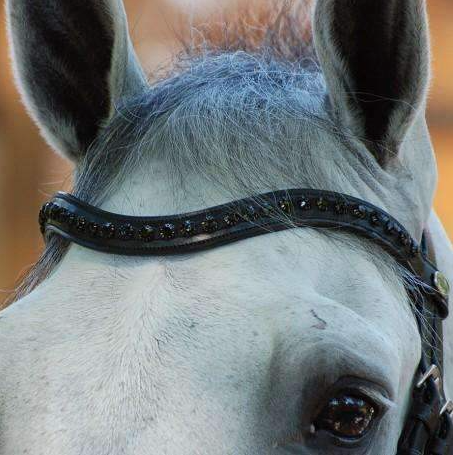 Dy'on Black Swarovski V-Shaped Browband - New English Full