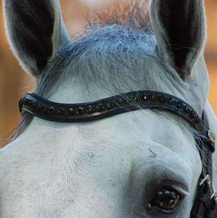 Dy'on Black Swarovski V-Shaped Browband - New English Full