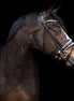 LJ Leathers Pro Selected SERRENTO Trens; Rondgenaaid