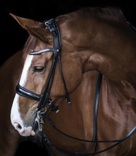 LJ Leathers Pro Selected SERRENA Stang/Trens rond