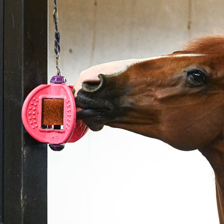 Bizzy Multifunctionele Speelbal Zwart