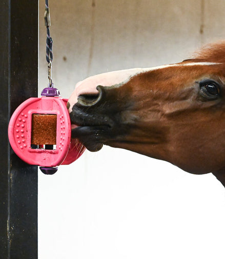 Bizzy Multifunctionele Speelbal Zwart