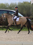 Maddelin Competitie Zadeldek