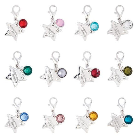 Imperial Riding Geboortesteentje Charm Geschenken - Maddelin Equestrian Imperial Riding
