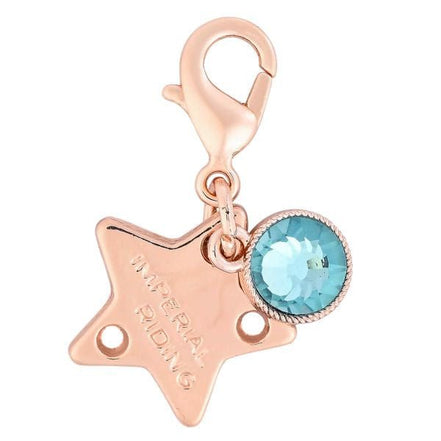 Imperial Riding Geboortesteentje Charm Geschenken - Maddelin Equestrian Imperial Riding