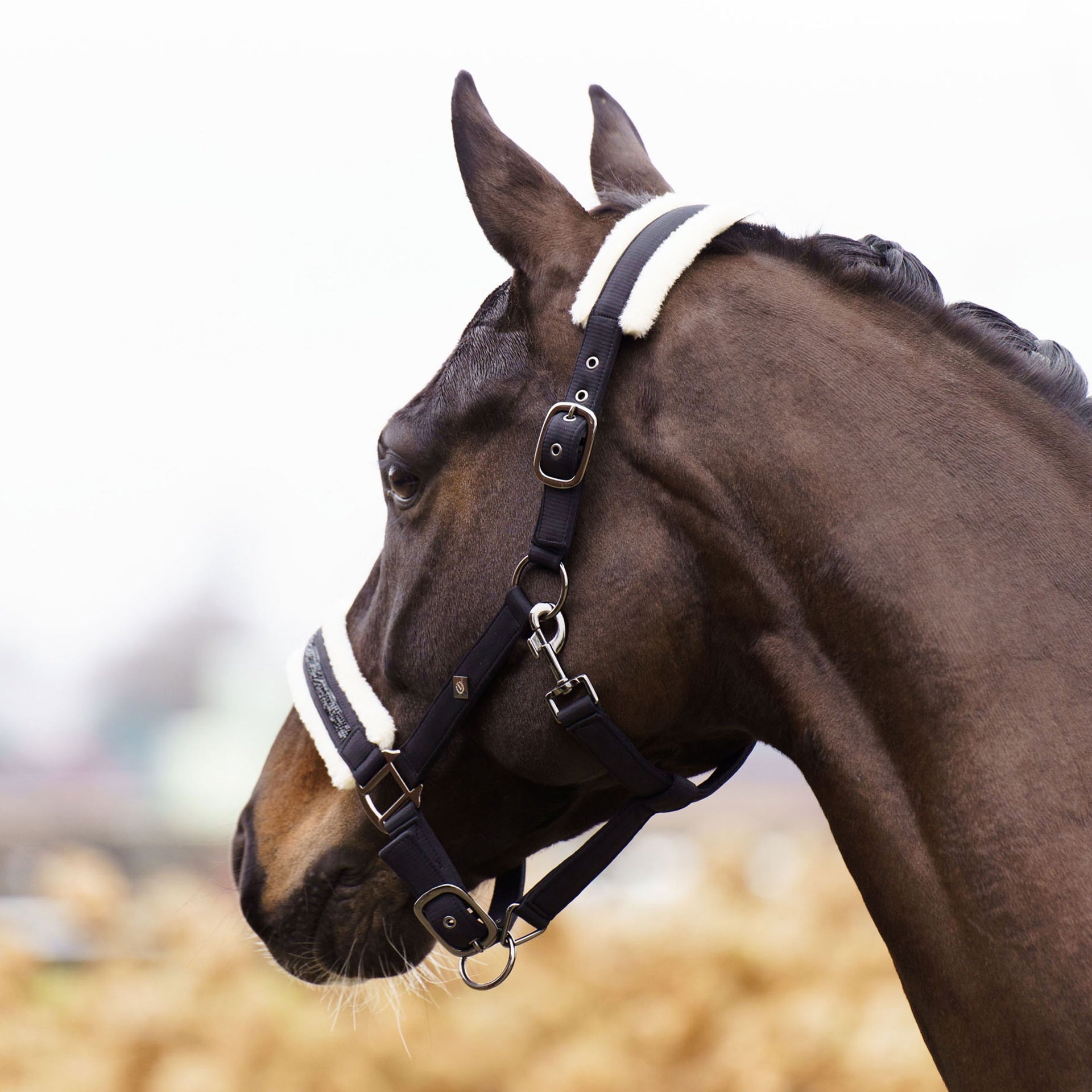 Imperial Riding Halster IRHJewel Halster met wol of faux fur - Maddelin Equestrian Imperial Riding