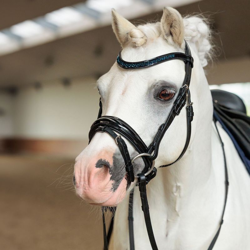 Imperial Riding Hoofdstel IRHPetit Trenshoofdstellen - Maddelin Equestrian Imperial Riding